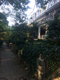 Front yards in DC