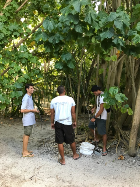 Herve Bossin and members of the Tetiaroa Society setting a BGS trap prior to the MRR experiment